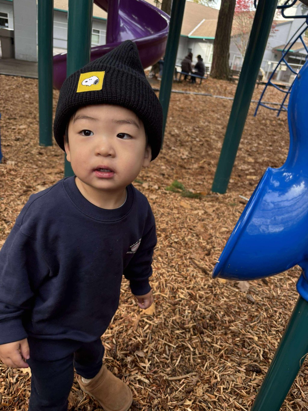 Why We Moved to Seattle 🍁 — To Raise Our Child in&nbsp;Nature