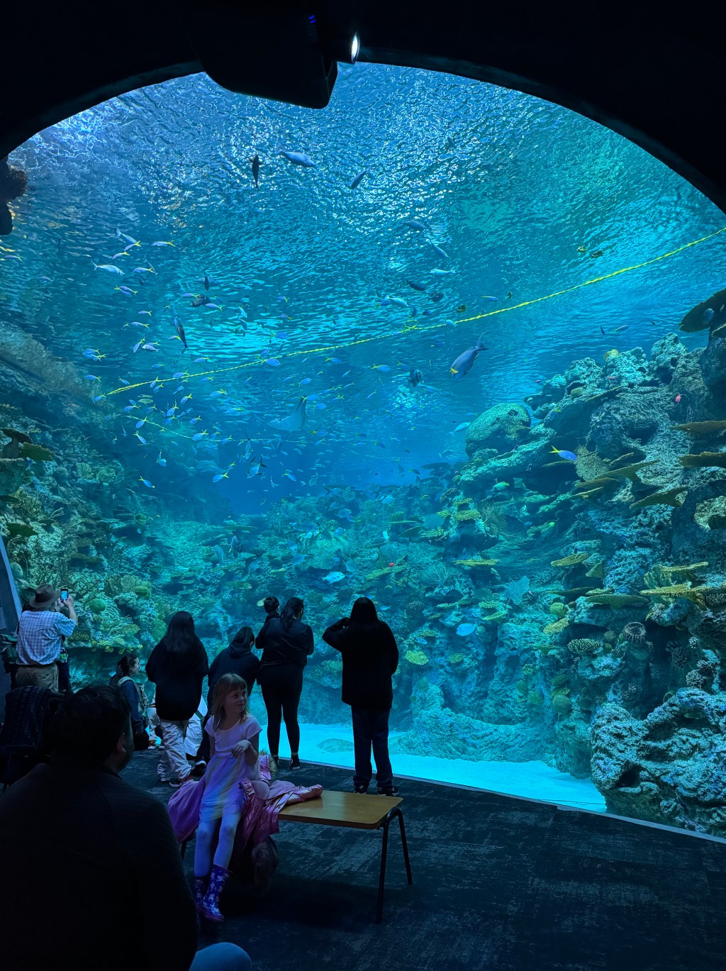 Visiting Seattle Aquarium with&nbsp;family