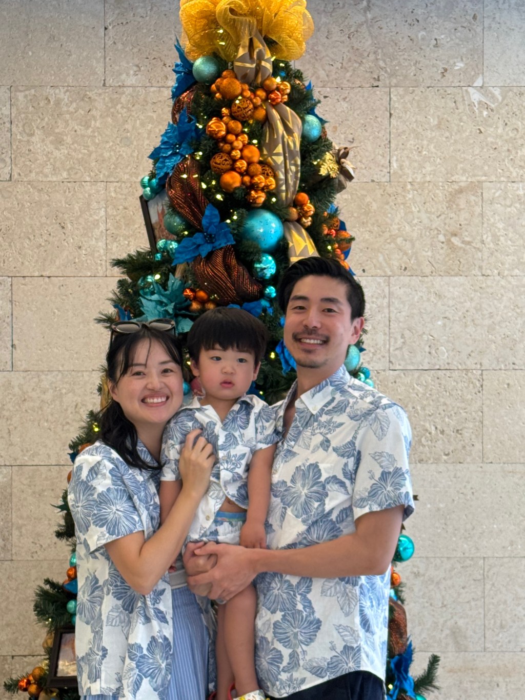 Winter Holiday in Hawaii,&nbsp;Oahu.